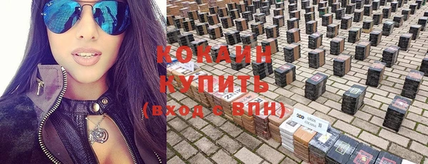 гидра Надым