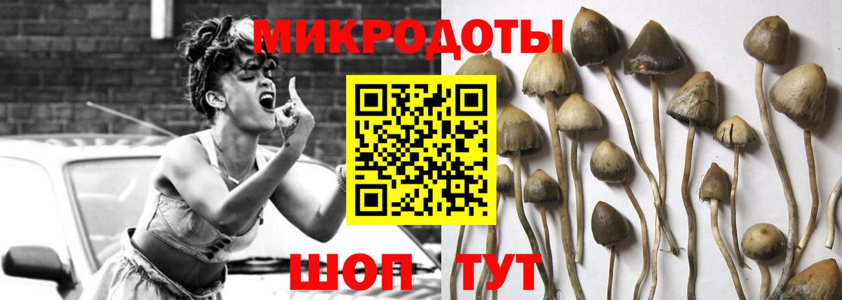 Галлюциногенные грибы MAGIC MUSHROOMS  Псилоцибиновые грибы Cubensis  Кимры  Вход с VPN 
