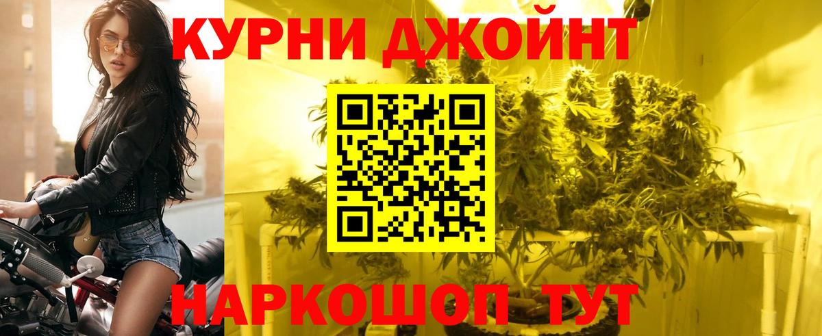 Бошки Шишки MAZAR Кимры